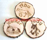 Individuelles Boxenschild Baumscheibe rund – Hochwertige Lasergravur für deine Pferdebox! Box017