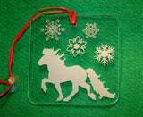 Eiskratzer aus Acrylglas Islandpferd 3