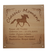 Boxenschild aus Holz mit Gravur und Wunschpferd (über 100 Motive)