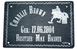 Individuelles Schiefer Boxenschild mit Daten – Hochwertige Lasergravur für deine Pferdebox! Box023
