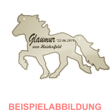 Hingucker Boxenschild Islandpferd – Tölter Silhouette für deine Pferdebox! Lasergravur mit Entwurfsfreigabe Box014