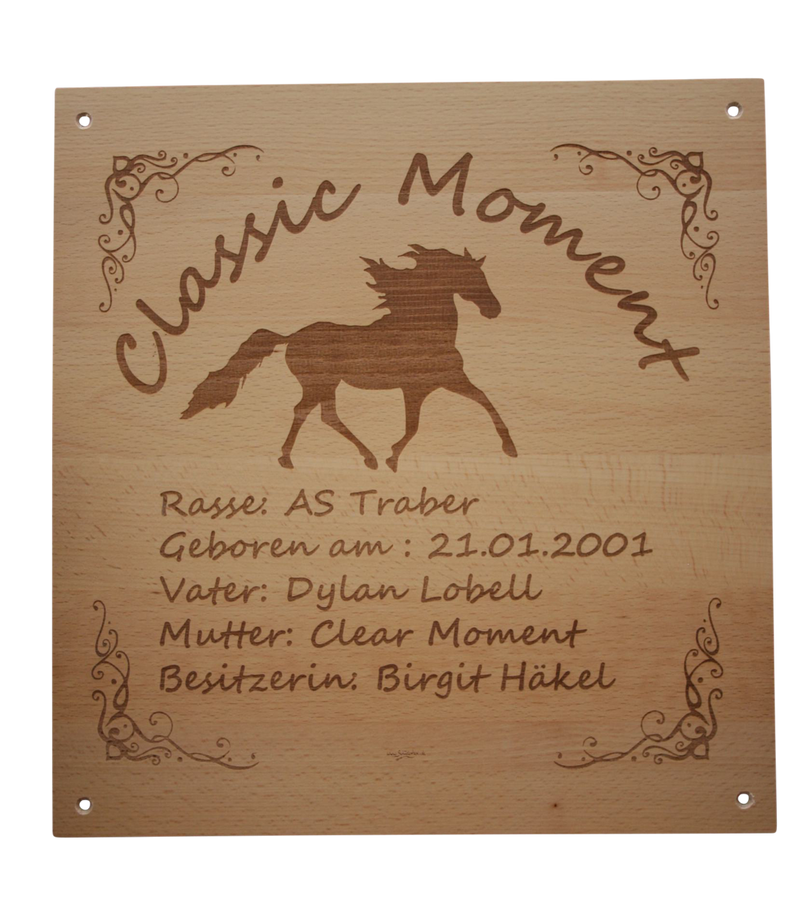 Boxenschild aus Holz mit Gravur und Wunschpferd (über 100 Motive)