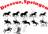 LASERGRAVIERTES Boxenschild mit Pferd (viele Motive) und Geburtsdatum - MIT KORREKTURABZUG